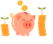 Assets Liabilities Management Assets Liabilities Management